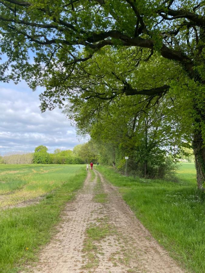 Luxus Lindenhof Apartments -Ferienwohnungen In Friesland An Der Nordsee Am Naturschutzgebiet Urwald Neuenburg  Buitenkant foto